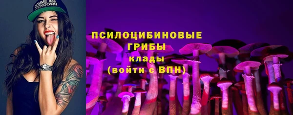 гидропоника Алзамай
