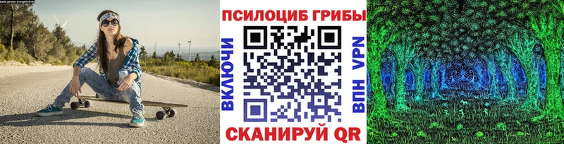 Псилоцибиновые грибы Psilocybe  Славск 